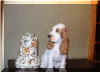 chiot1.jpg (25011 octets)