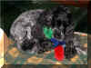 margaux1.jpg (54644 octets)