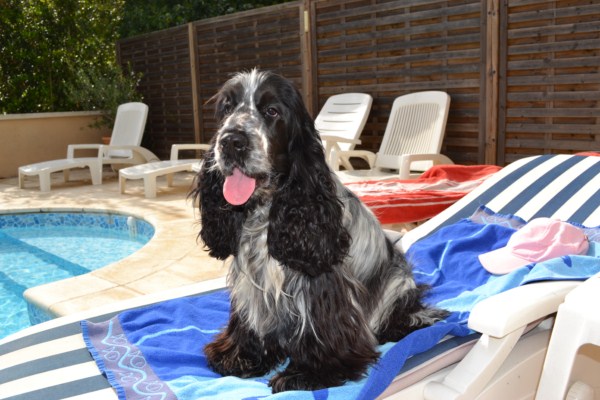 Gus juin 2012