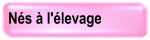 nes_elevage