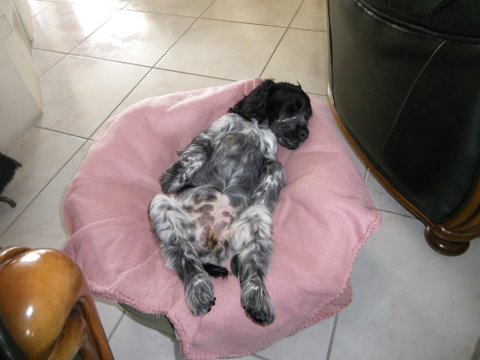 Gladys