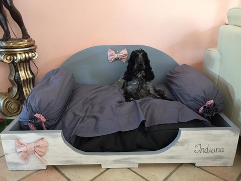 Indiana dans son lit