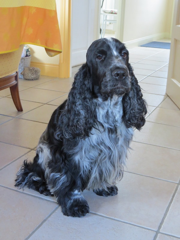 Issac