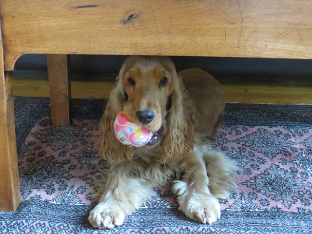 Jesse James 07-02-2015