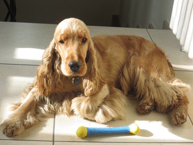 Jesse James 08-02-2015