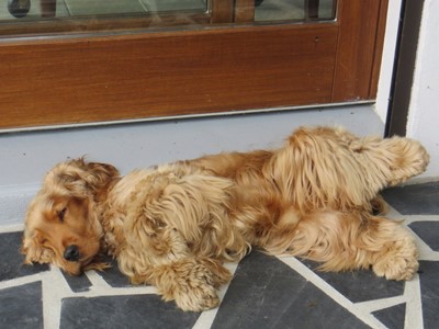 Grosse fatigue aprs une randonne