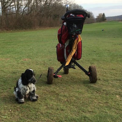 Lipton joue au golf