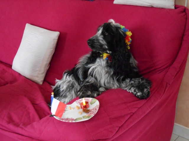 Lolita 1 an