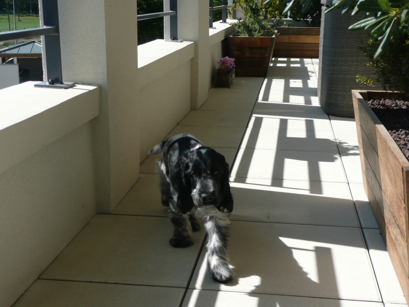 Lucky en balade