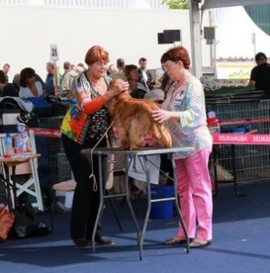 joe-championnat-de-france-juin-2016