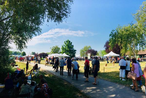 Exposition spécial cockers à Chalette sur Loing le 22 juillet 2018